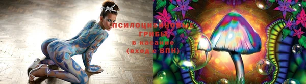 ГАЛЛЮЦИНОГЕННЫЕ ГРИБЫ Алексин