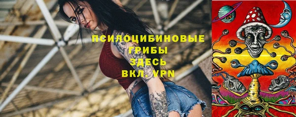 ГАЛЛЮЦИНОГЕННЫЕ ГРИБЫ Алексин