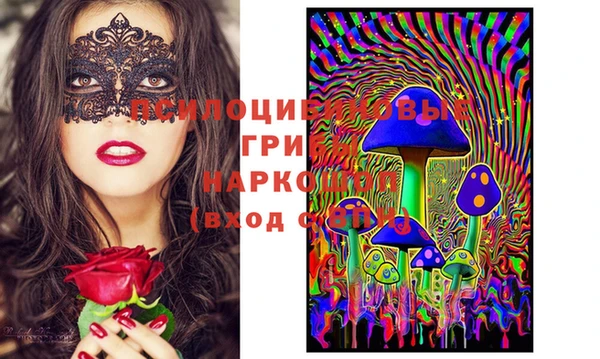 бошки Алзамай