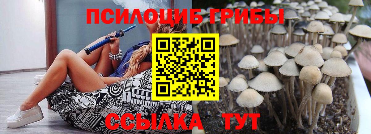 Псилоцибиновые грибы Psilocybe Дзержинск
