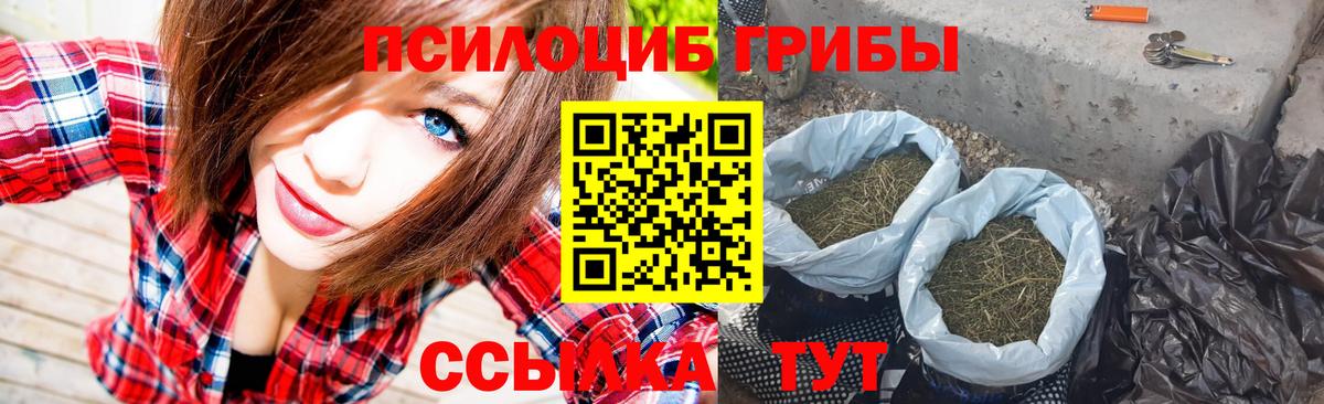 Дзержинск  МАРИХУАНА  Вход с VPN  Меф кристаллы  APVP СОЛЬ кристаллы  ТГК  МЕФ  Наркошоп 