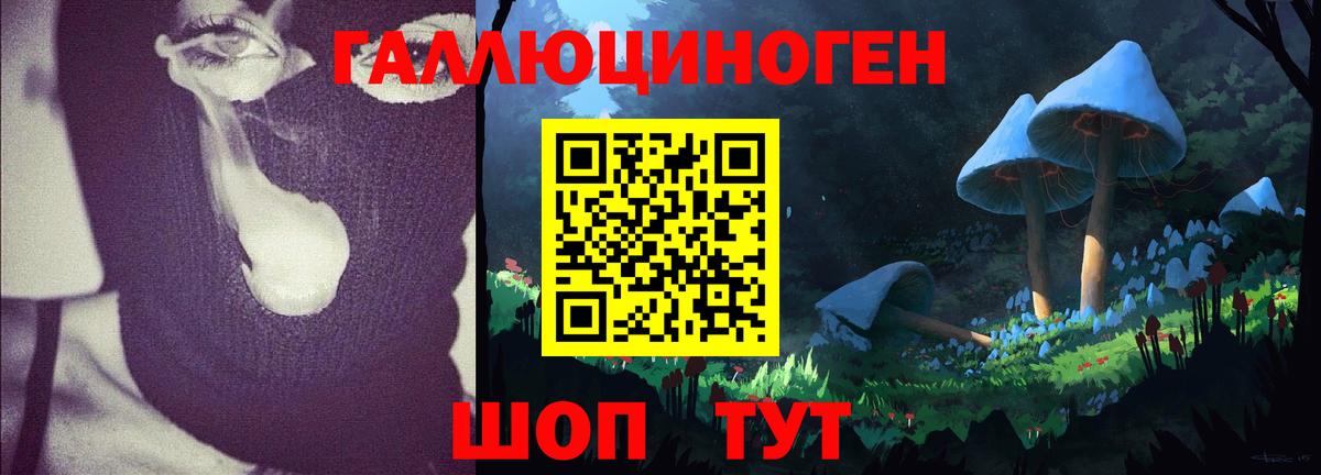 Дзержинск  Галлюциногенные грибы мухоморы  сколько стоит  Вход с VPN 