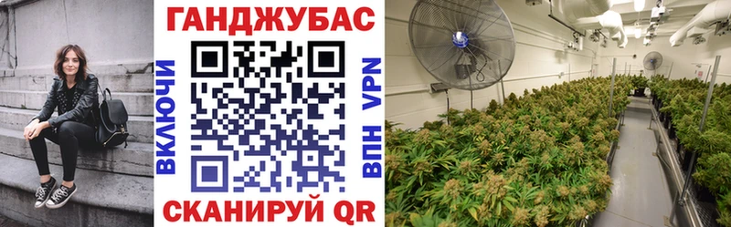 Шишки марихуана тримм  Дзержинск 